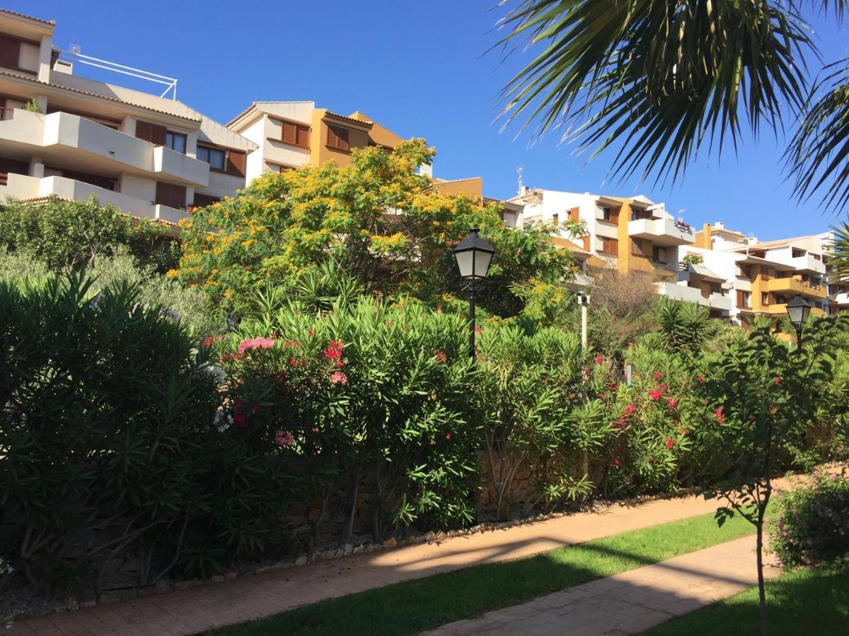 阿利坎特Torrevieja 200M From Sea Punta Prima公寓 外观 照片